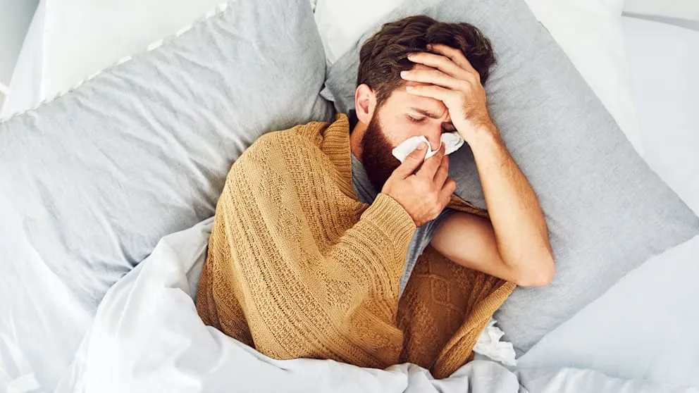 So boosten Sie Ihr Immunsystem – Die 20 besten natürlichen Virenkiller